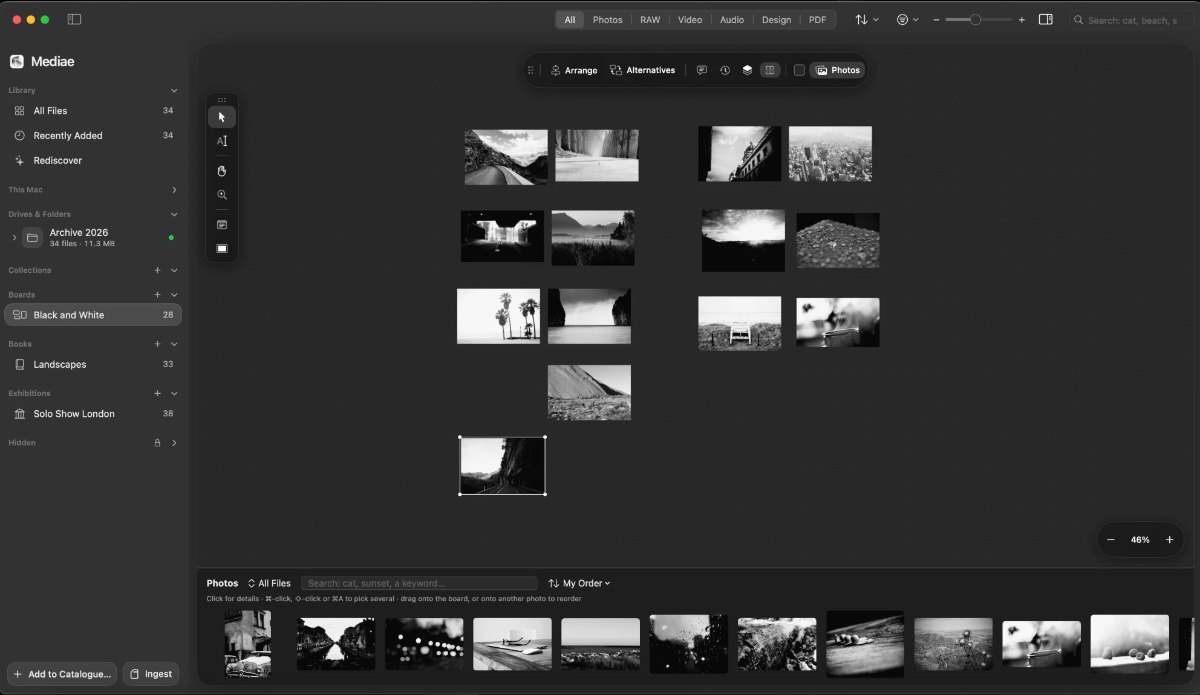 A board in Mediae: black-and-white photographs arranged in loose columns on a dark canvas, with the archive in a strip below.