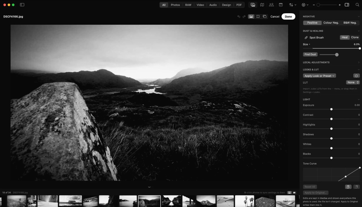 Mediae's develop panel: the photograph beside controls for negatives, dust and healing, looks, light and a tone curve.